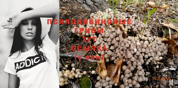 таблы Михайлов