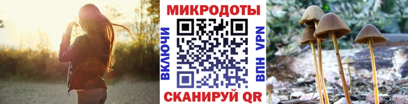 где продают наркотики  Галич  Галлюциногенные грибы мицелий 